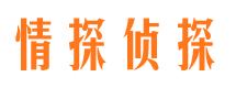 桂东侦探公司